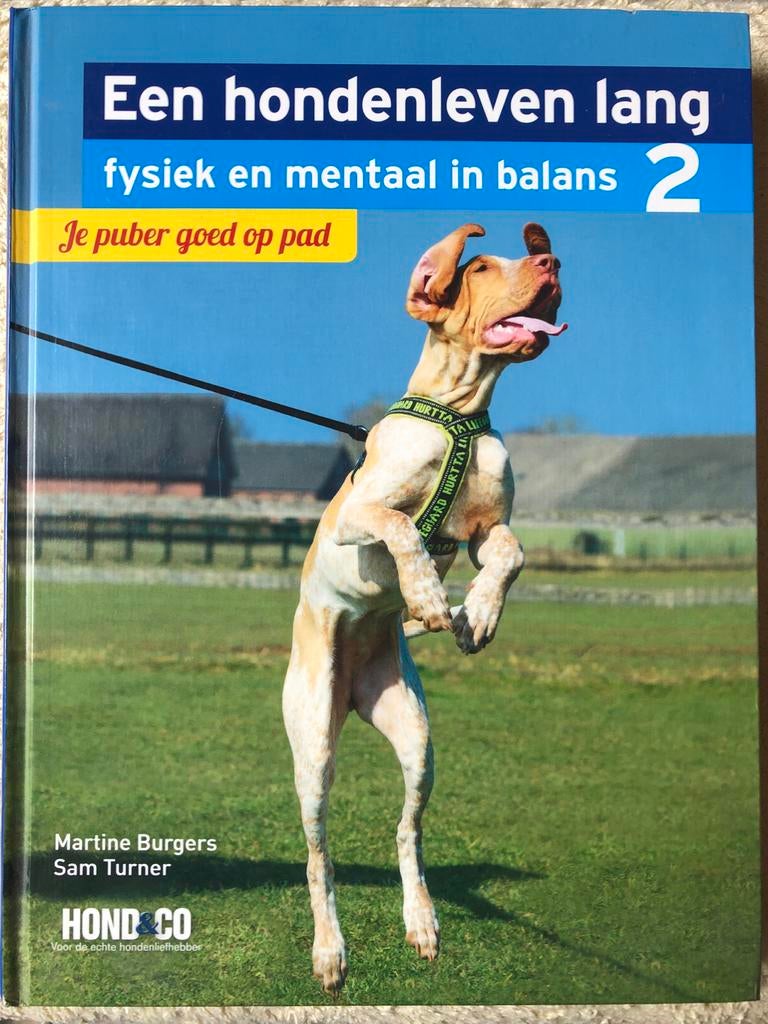 Een hondenleven lang: Je puber goed op pad (deel 2), Ophalen of Verzenden, Zo goed als nieuw, Honden