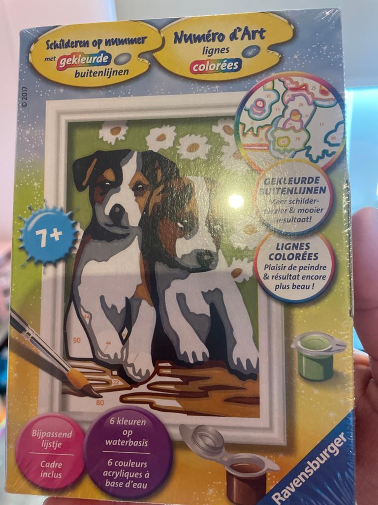 Ravensburger Schilderen op nummer - Puppy's (7+), Hobby en Vrije tijd, Schilderen, Ophalen of Verzenden, Nieuw, Schilderen op nummer