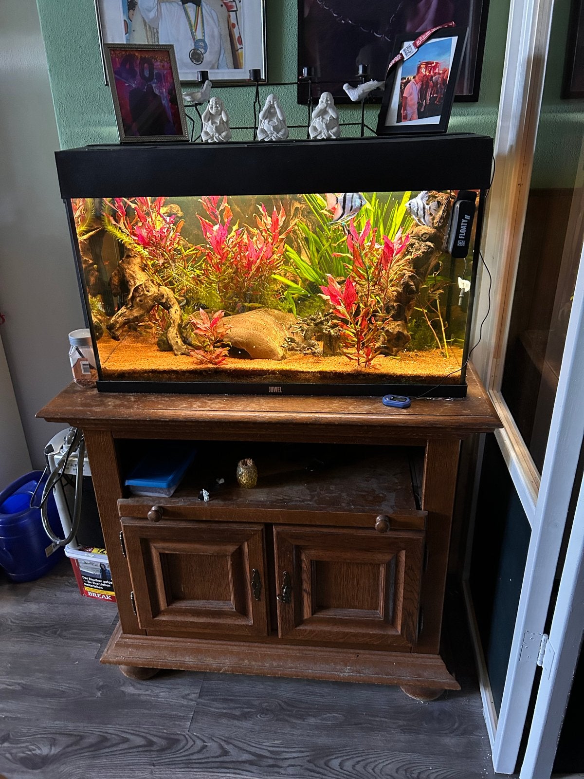 Aquarium juwel, Dieren en Toebehoren, Vissen | Aquaria en Toebehoren, Ophalen, Inclusief deksel, Zo goed als nieuw, Leeg aquarium