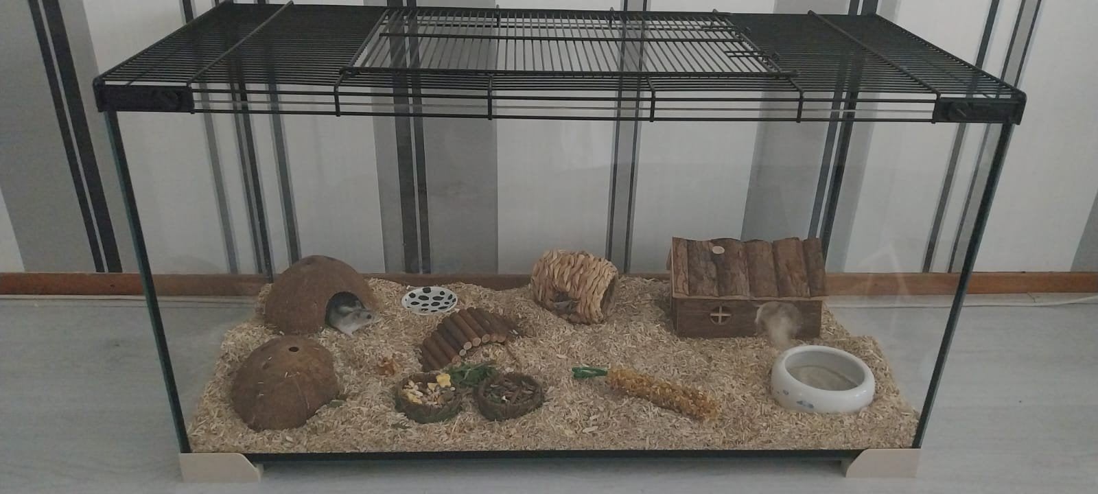 Glazen Hamsterterrarium  80x35x43cm Met de originele deksel., Minder dan 60 cm, Overige typen, Hamster, Ophalen of Verzenden