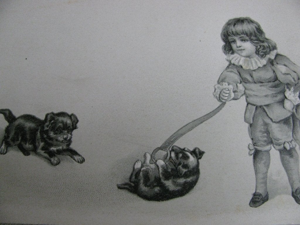 Antieke Kaart met Relief - Kind Speelt met Hondjes, Verzenden, Voor 1920, Ongelopen, Kinderen