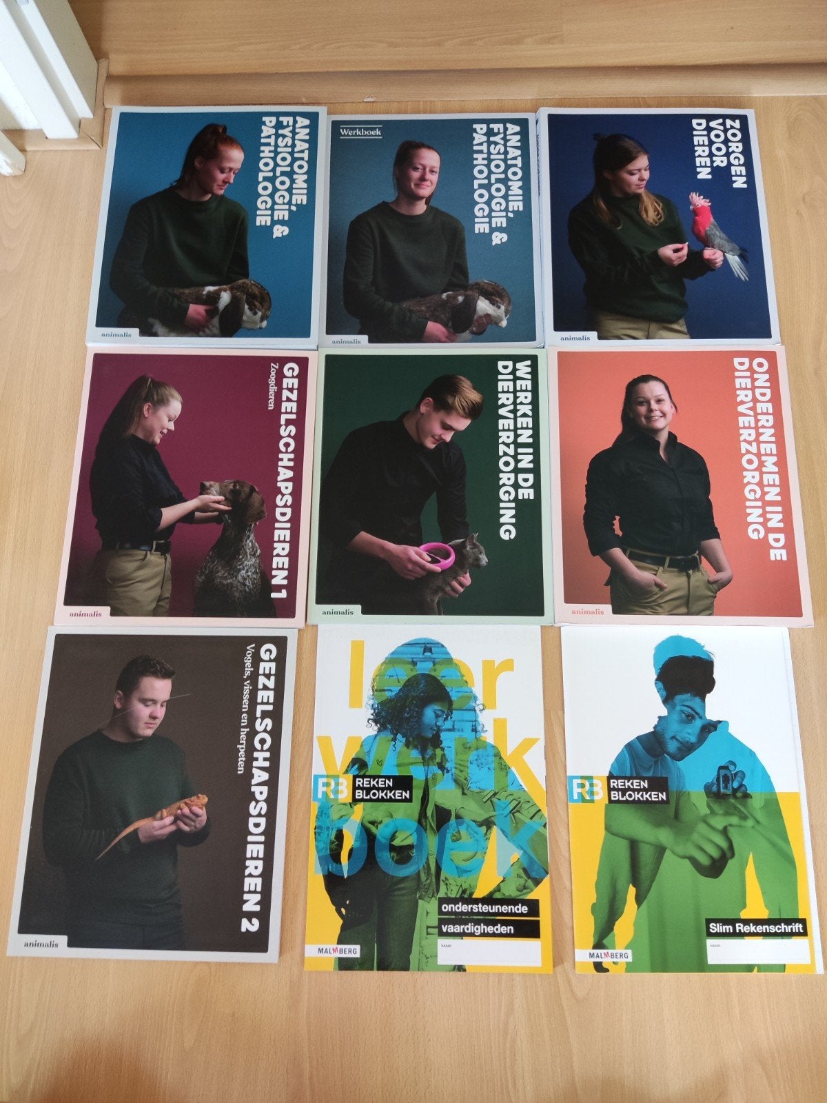 Animalis Schoolboeken & Leerwerkboek MBO Dierverzorging, Ophalen of Verzenden, Zo goed als nieuw, Overige niveaus