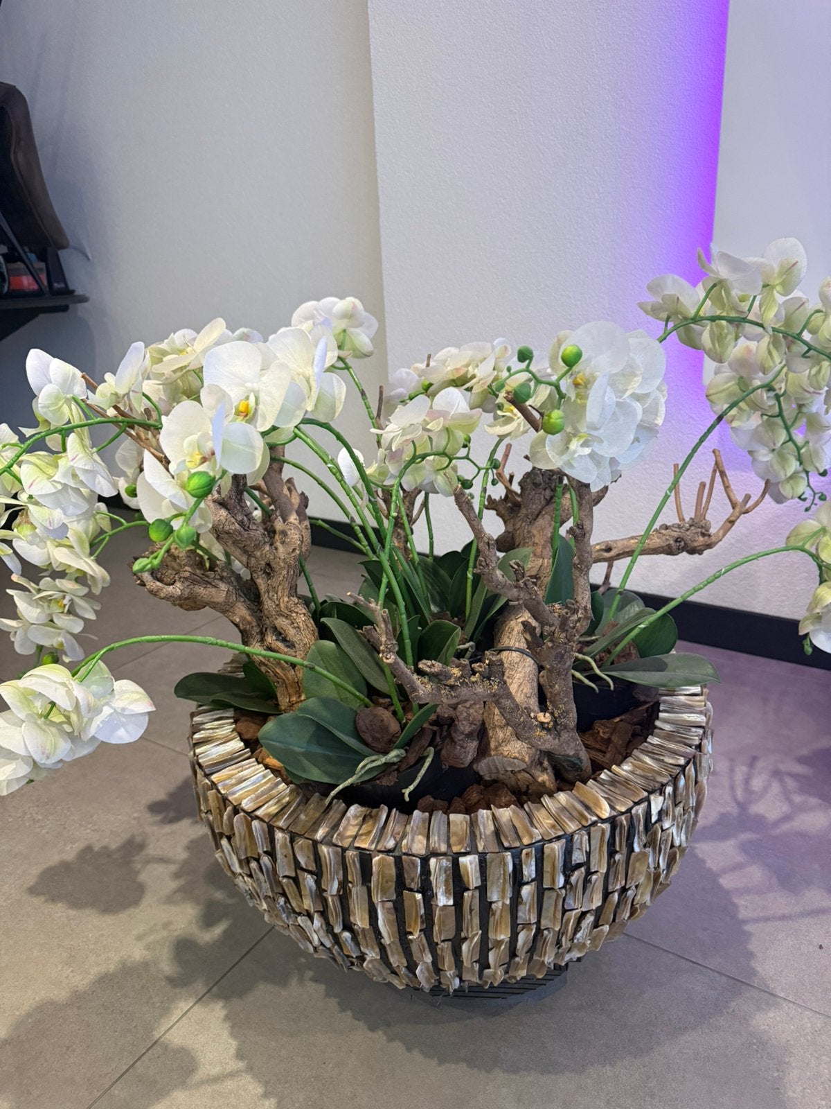 Schelpenvaas rond met orchideeën, Ophalen, Binnen, Gebruikt, 70 cm