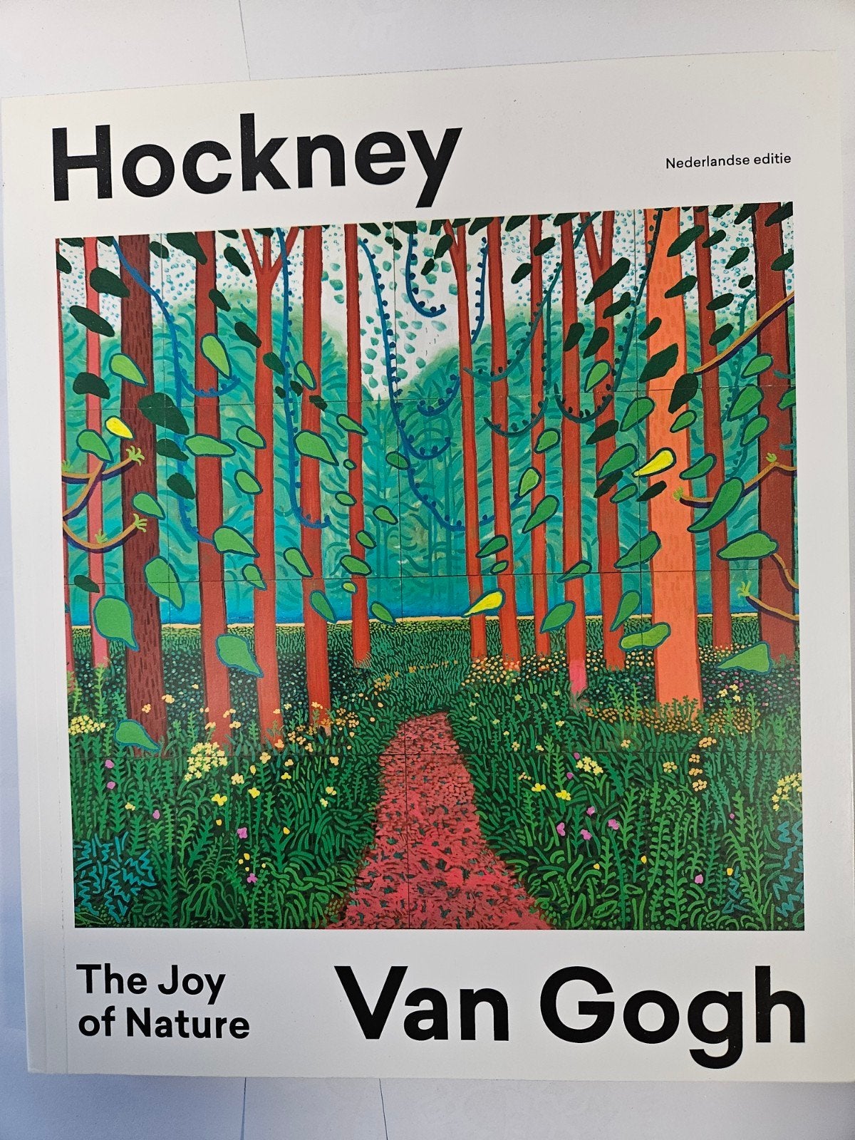 Hockney - Van Gogh - Hans Den Hartog Jager, Boeken, Ophalen of Verzenden, Gelezen