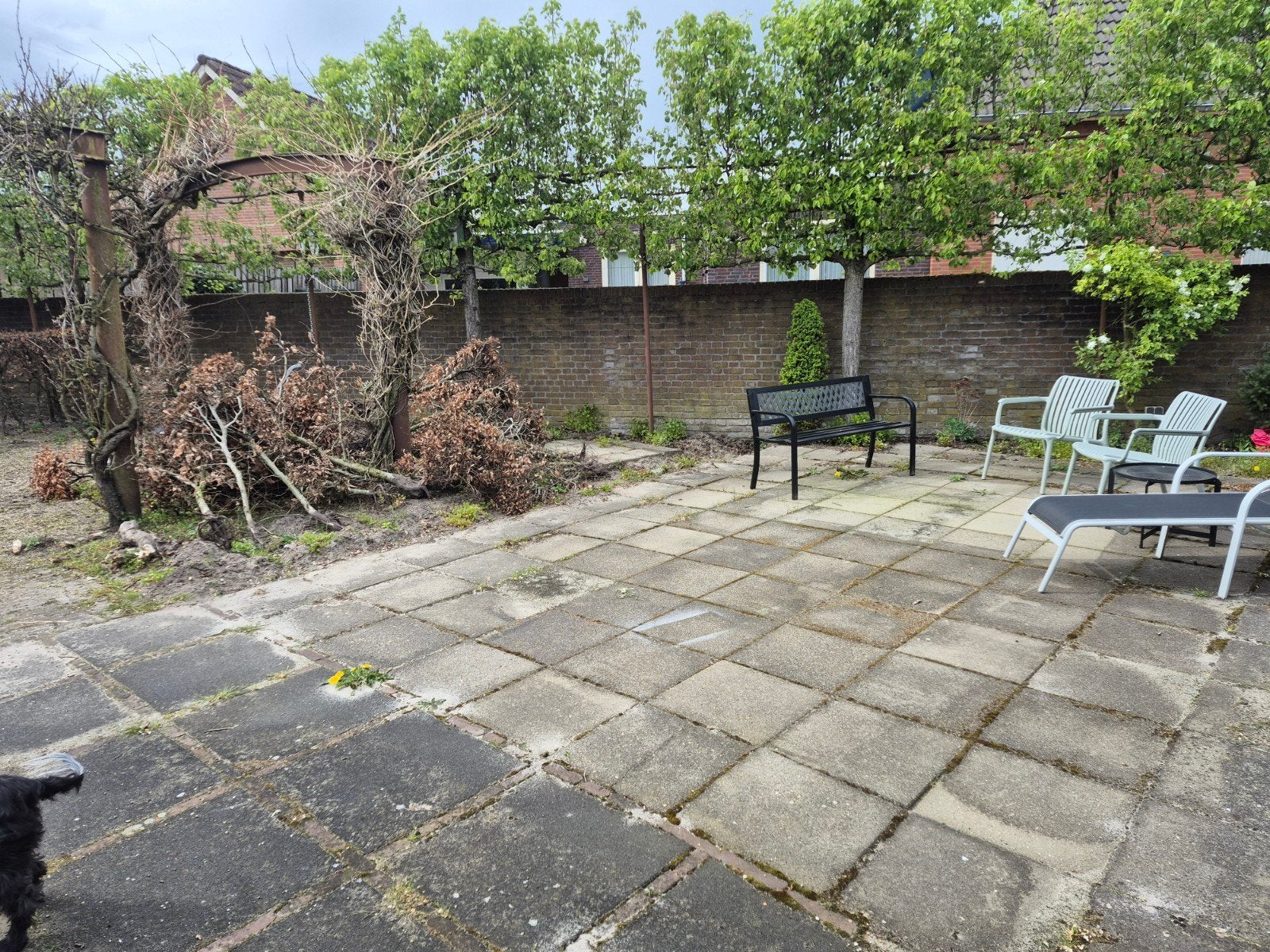 Betontegels voor onder zwembad, Tuin en Terras, Tegels en Klinkers, Ophalen of Verzenden, Gebruikt, Beton, Terrastegels