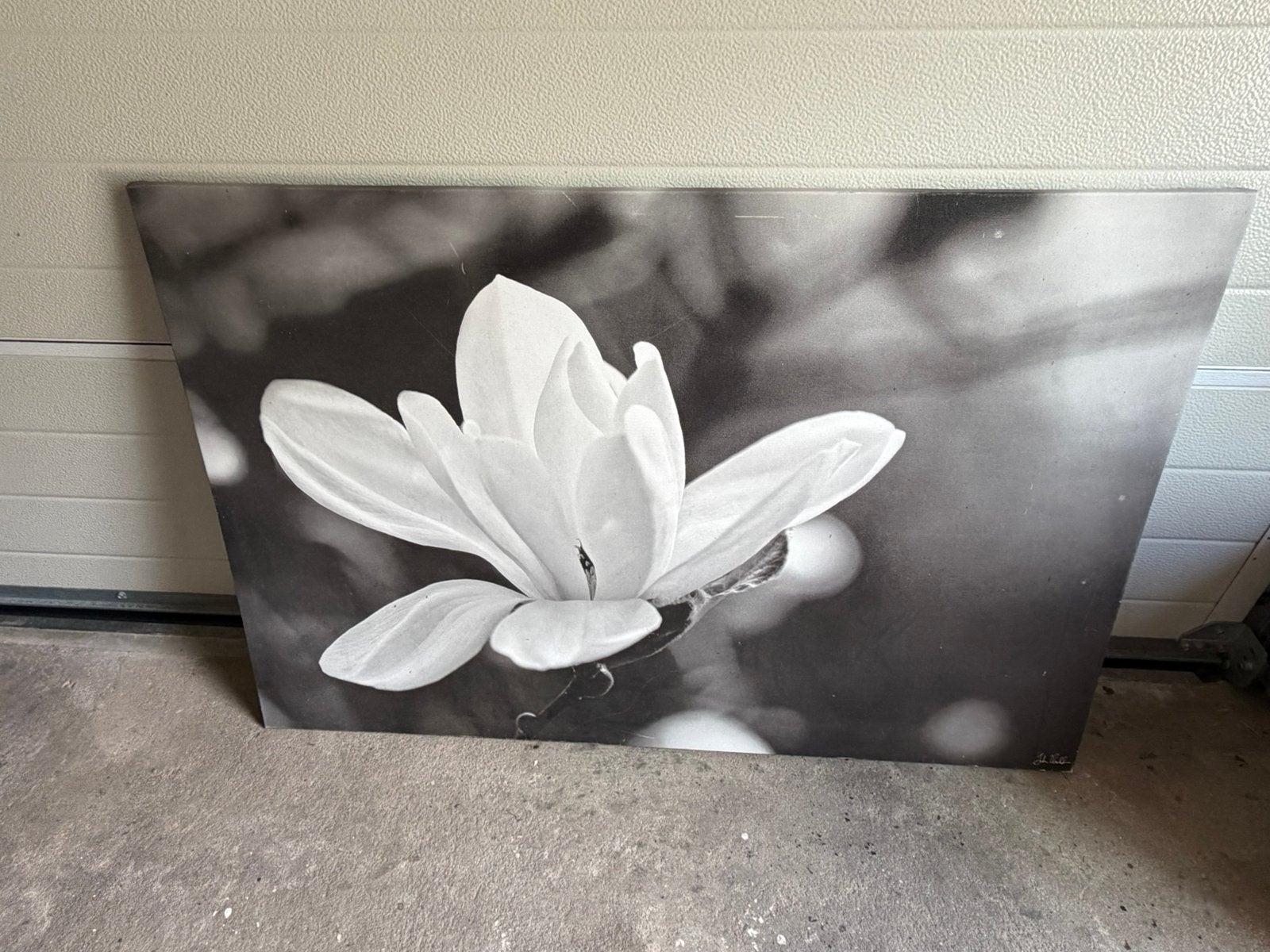 Canvasschilderij, Ophalen, Gebruikt, 100 tot 125 cm, Schilderij