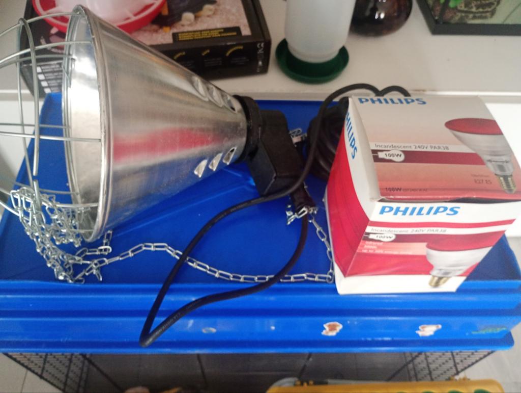 Warmte lamp kuikens  inclusief infrarood lamp alles nieuw, Ophalen, Nieuw, Overige typen