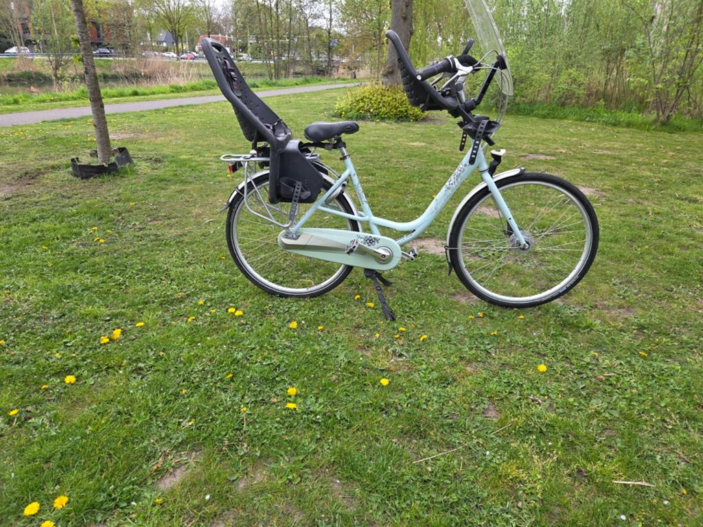 Gazelle bloom moederfiets  mamafiets, 2 zitjes, Ophalen of Verzenden, Dubbele standaard, Gazelle