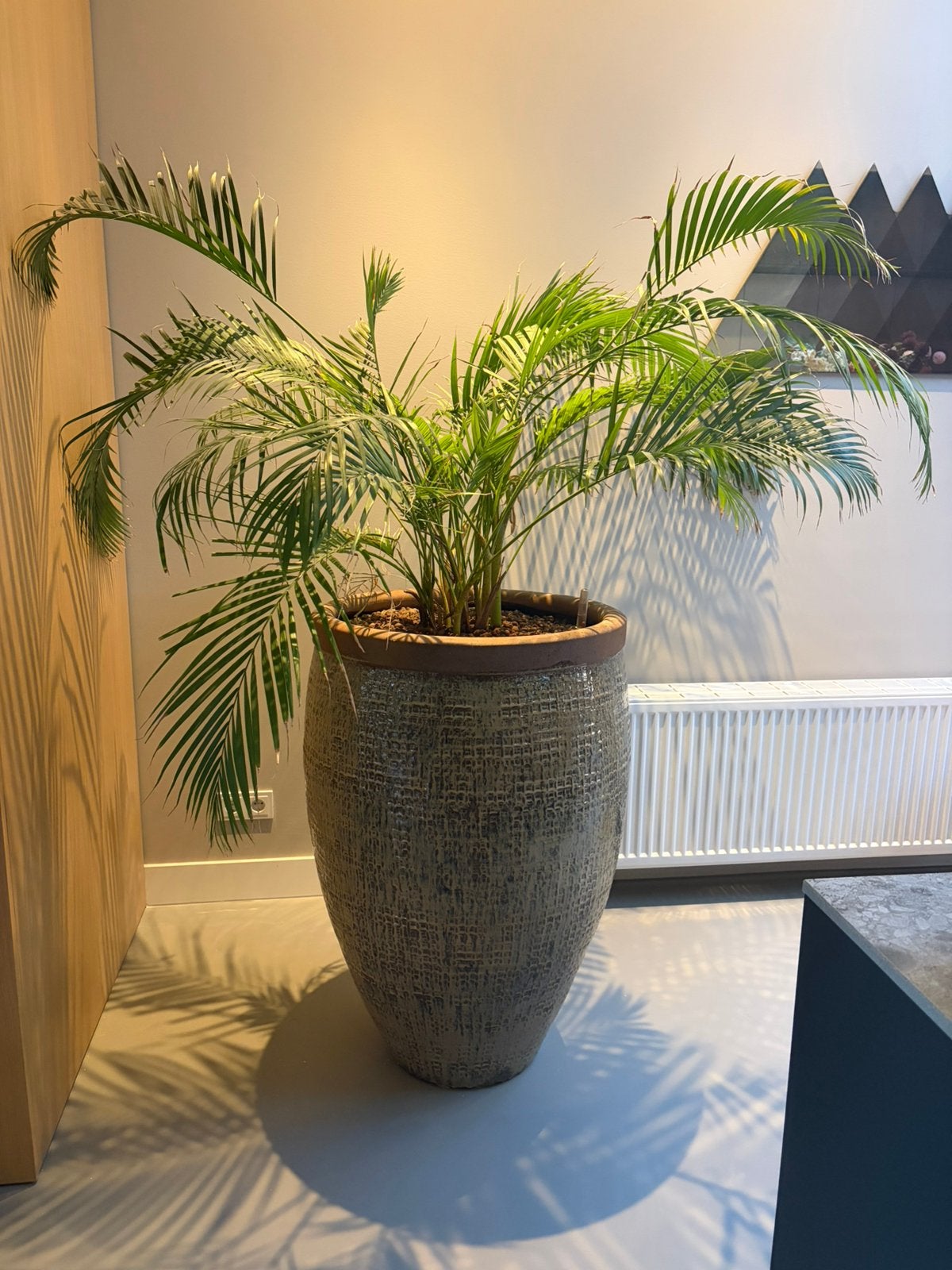 Grote stenen pot incl plant, Ophalen, Steen, Gebruikt, 40 cm of meer