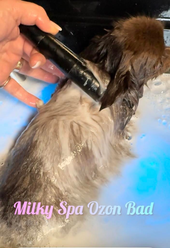 Voor hondjes tot 6 kilo Milky Spa OzonBad wit/zwart nieuw, Ophalen, Zo goed als nieuw