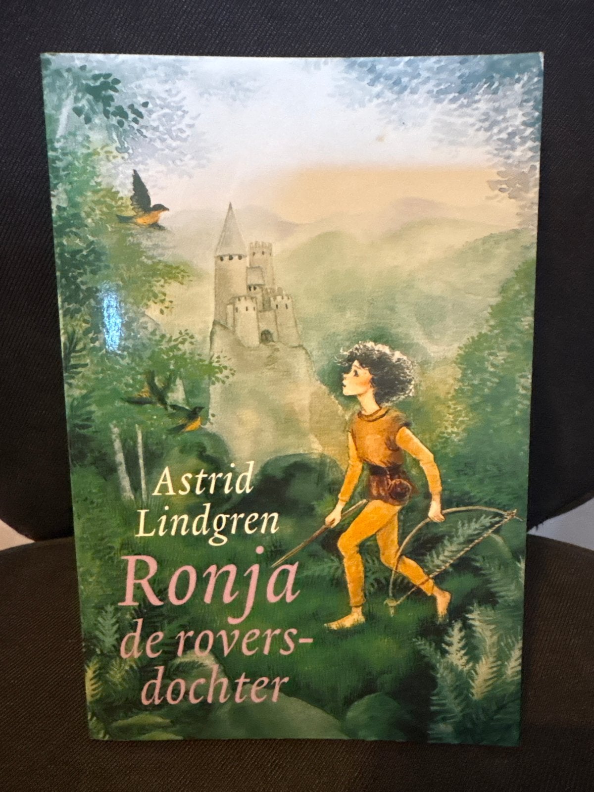 Ronja de roversdochter - Astrid Lindgren, Ophalen of Verzenden, Zo goed als nieuw, Fictie algemeen