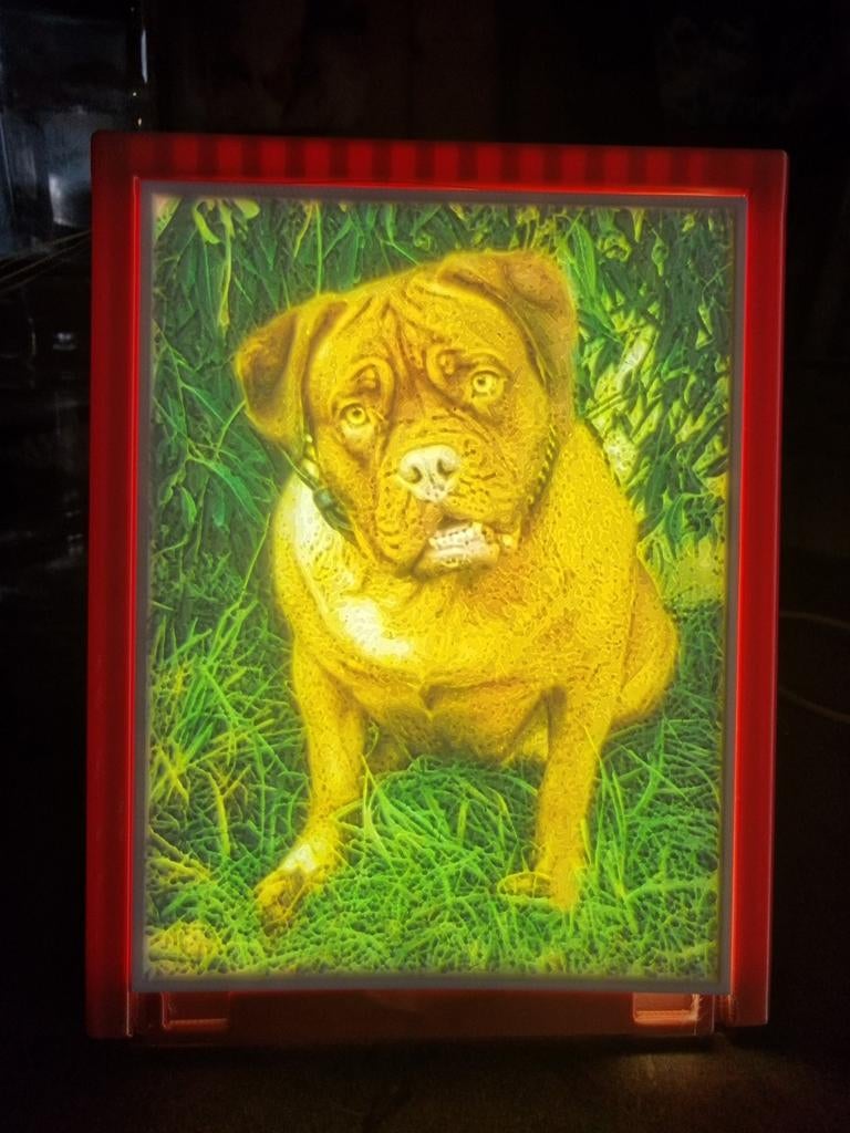 3D geprinte fotolijst met verlichting, Huis en Inrichting, Woonaccessoires | Lijsten, Nieuw, Ophalen of Verzenden, Minder dan 50 cm