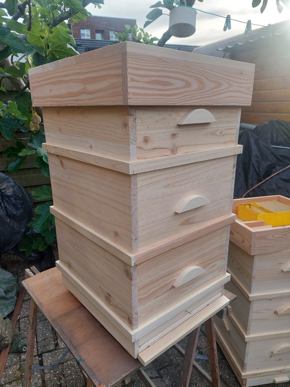 Spaarkast nieuw, Dieren en Toebehoren, Insecten en Spinnen, Bijen