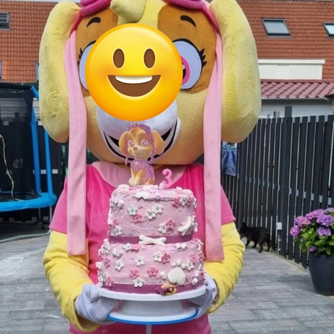 mascotte pak te huur, Ophalen of Verzenden, Zo goed als nieuw