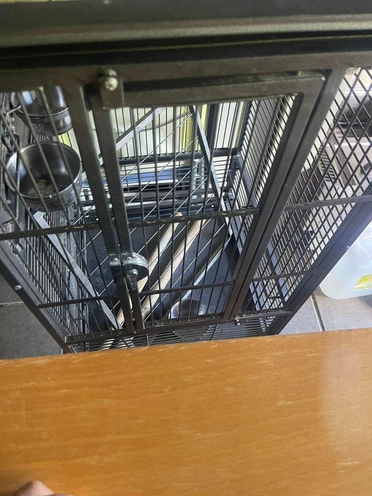 Papegaaienkooi, Dieren en Toebehoren, Ophalen of Verzenden, Zo goed als nieuw, Metaal, Vogelkooi