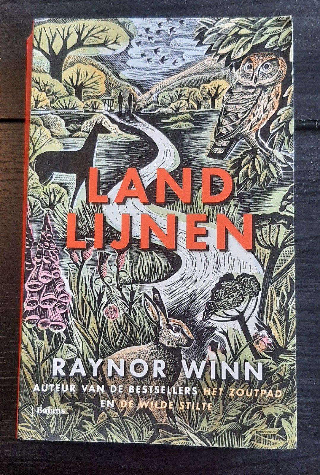 Landlijnen - Raynor Winn, Ophalen of Verzenden, Gelezen, Raynor Winn, Nederland