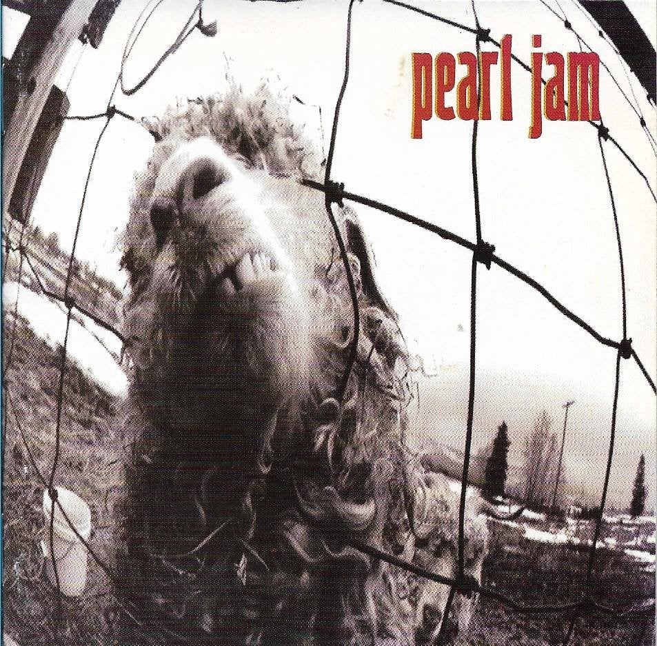 Pearl Jam - V, Ophalen of Verzenden, Gebruikt