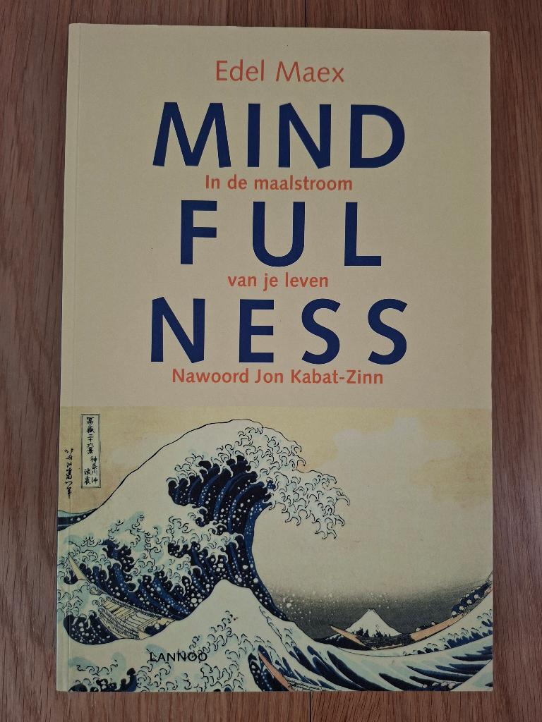 Mindfulness, in de maalstroom van je leven, Ophalen of Verzenden, Zo goed als nieuw, Edel Maex