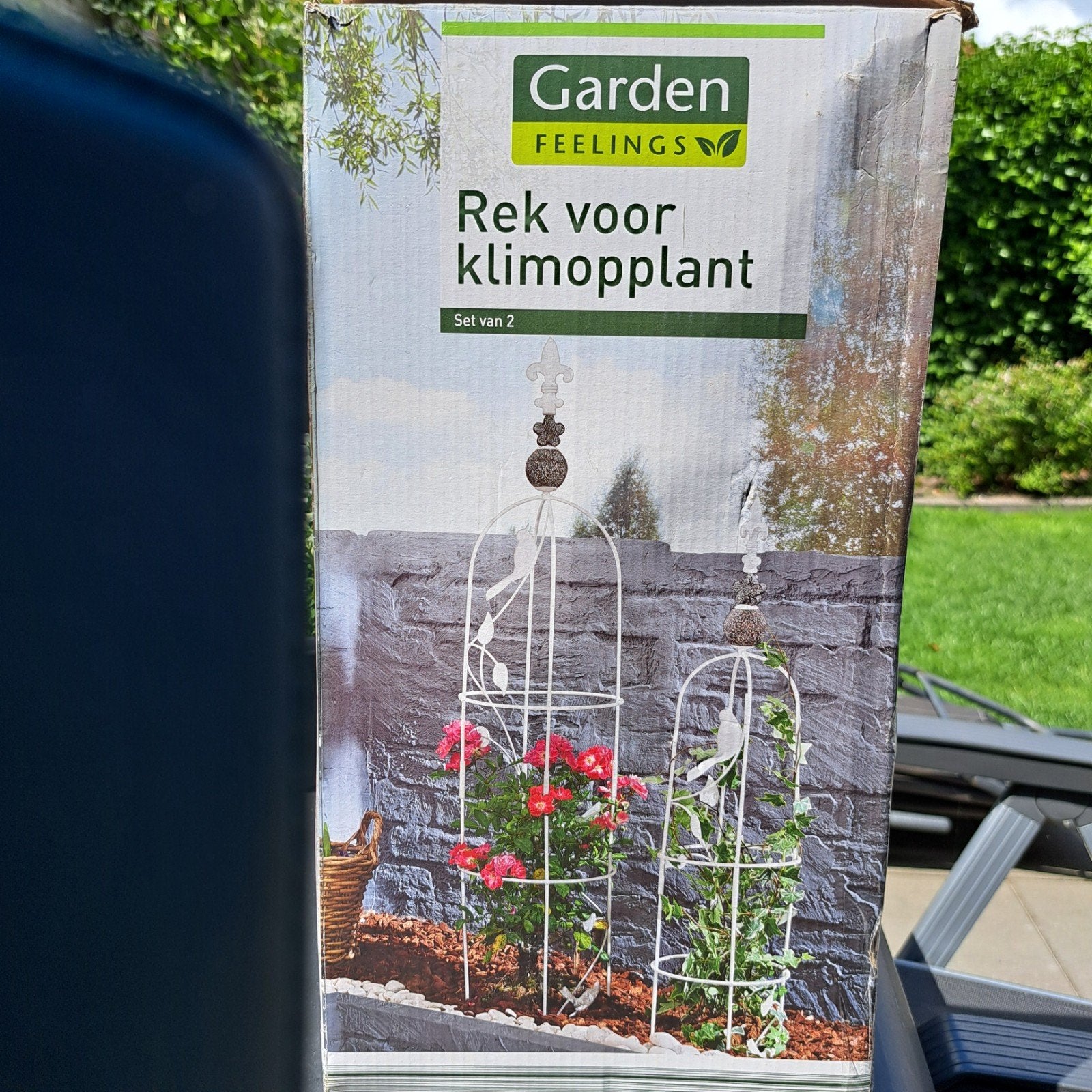Rek voor klimplant, Ophalen of Verzenden, Overige soorten, Volle zon