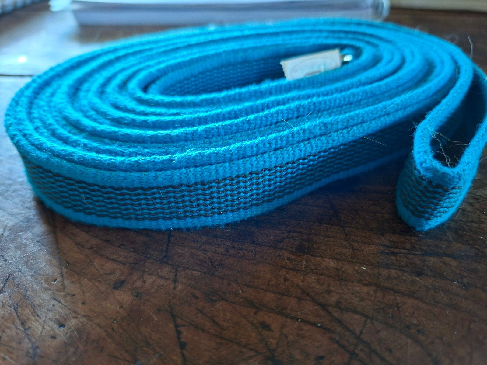 hondenriem 5 meter, Ophalen of Verzenden, Zo goed als nieuw