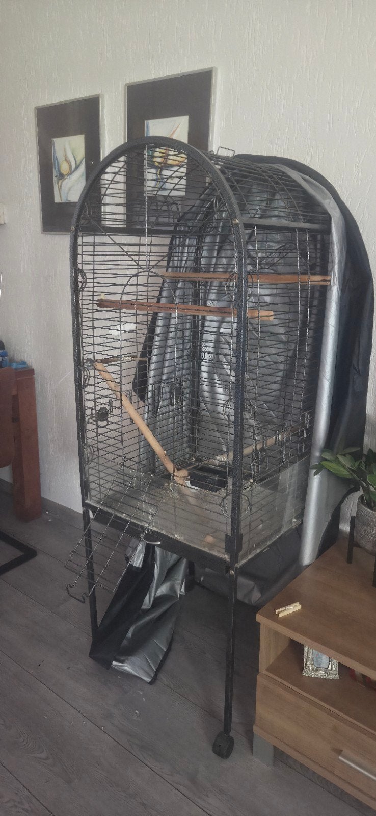 Papagaaienkooi, Ophalen, Vogelkooi