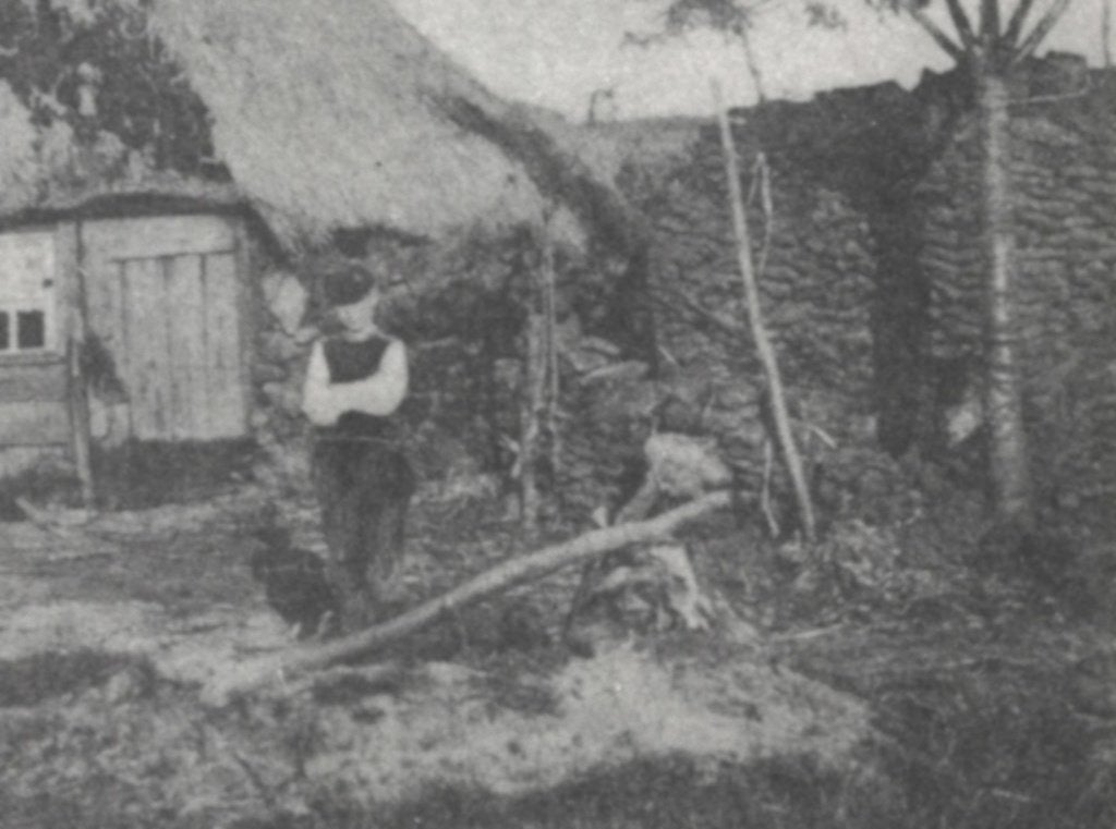 967715	Gieten	Drenthe	Huisje i h Bonnerveld	 Onbeschreven, Ophalen of Verzenden, 1960 tot 1980, Ongelopen, Drenthe