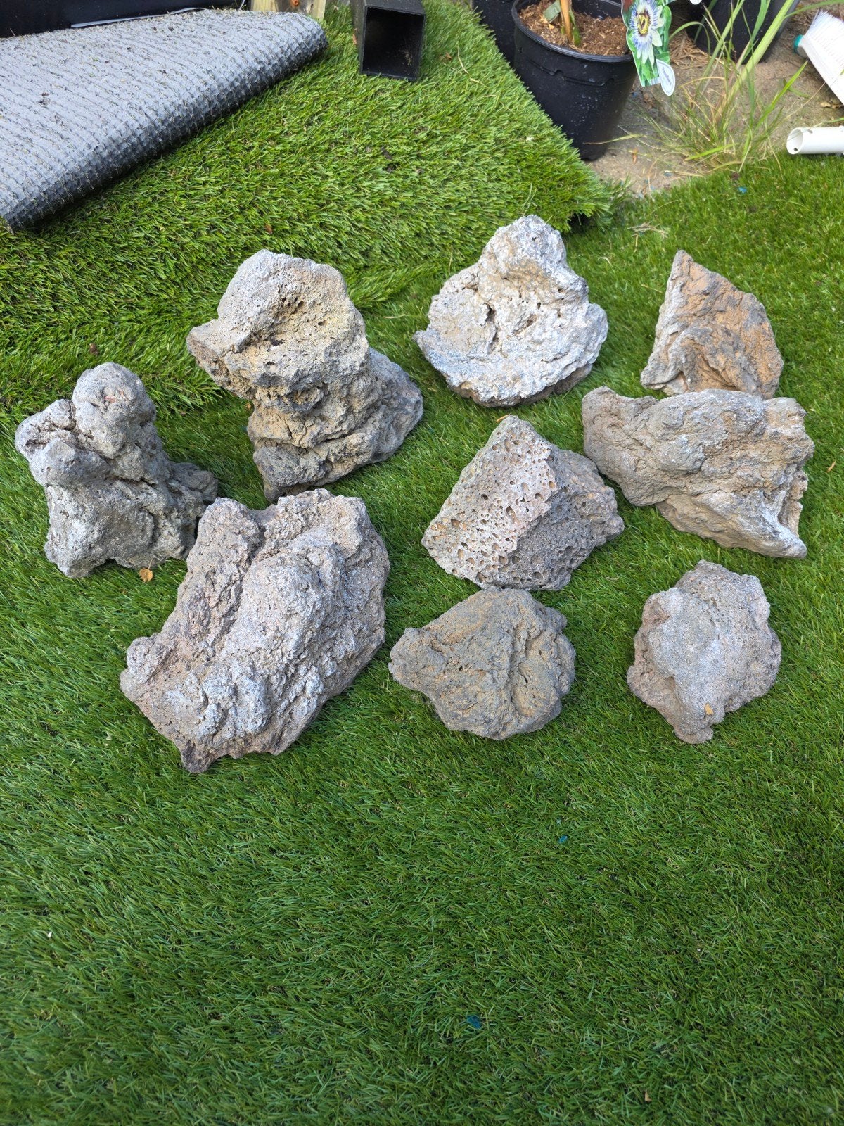Partij lavasteen te koop., Vis