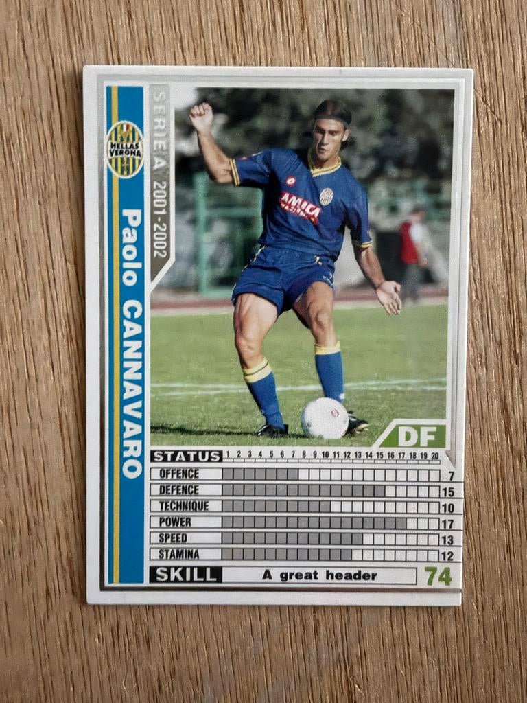 Paolo Cannavaro Hellas Verona Panini Spelerskaart, Ophalen of Verzenden, Zo goed als nieuw, Buitenlandse clubs, Spelerskaart