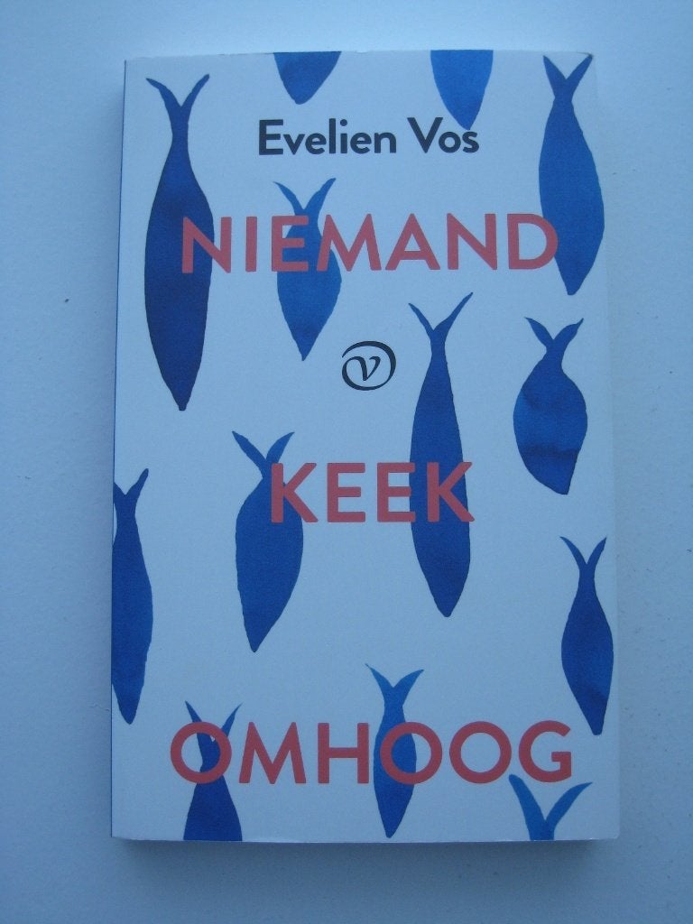 Evelien Vos – Niemand keek omhoog, Ophalen of Verzenden, Zo goed als nieuw, Nederland
