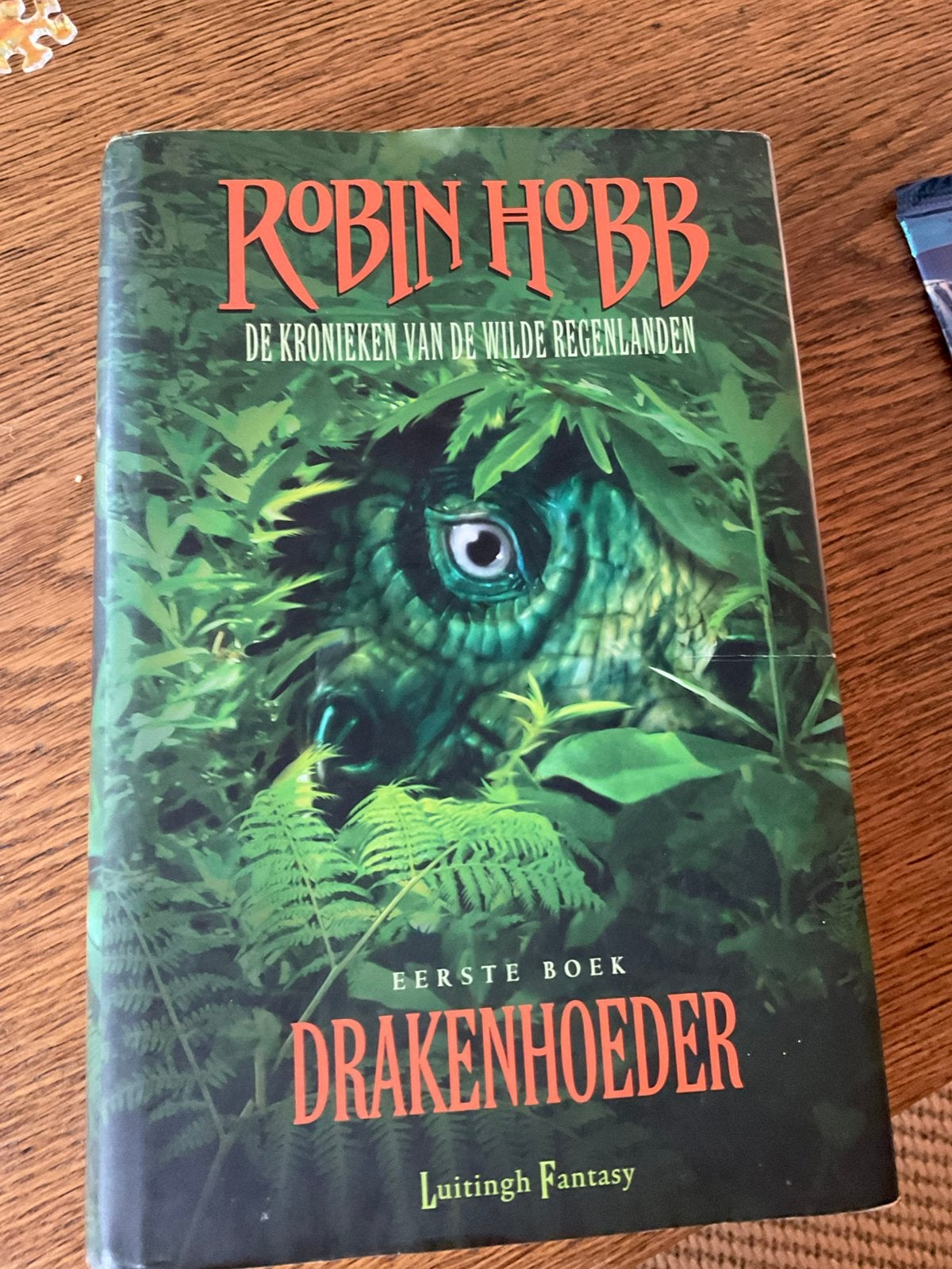 Robin Hobb - Drakenhoeder, Boeken, Ophalen of Verzenden, Zo goed als nieuw, Robin Hobb