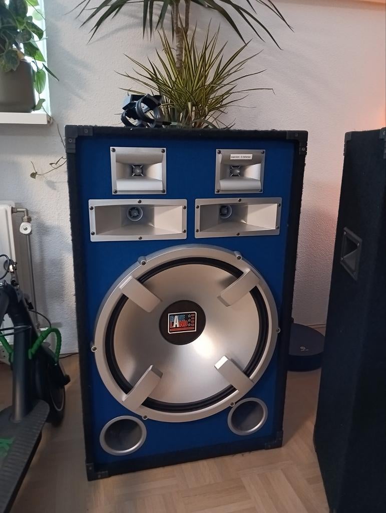 Raveland 18" speakers voor feest of disco, Gebruikt, Overige typen, 120 watt of meer, Ophalen