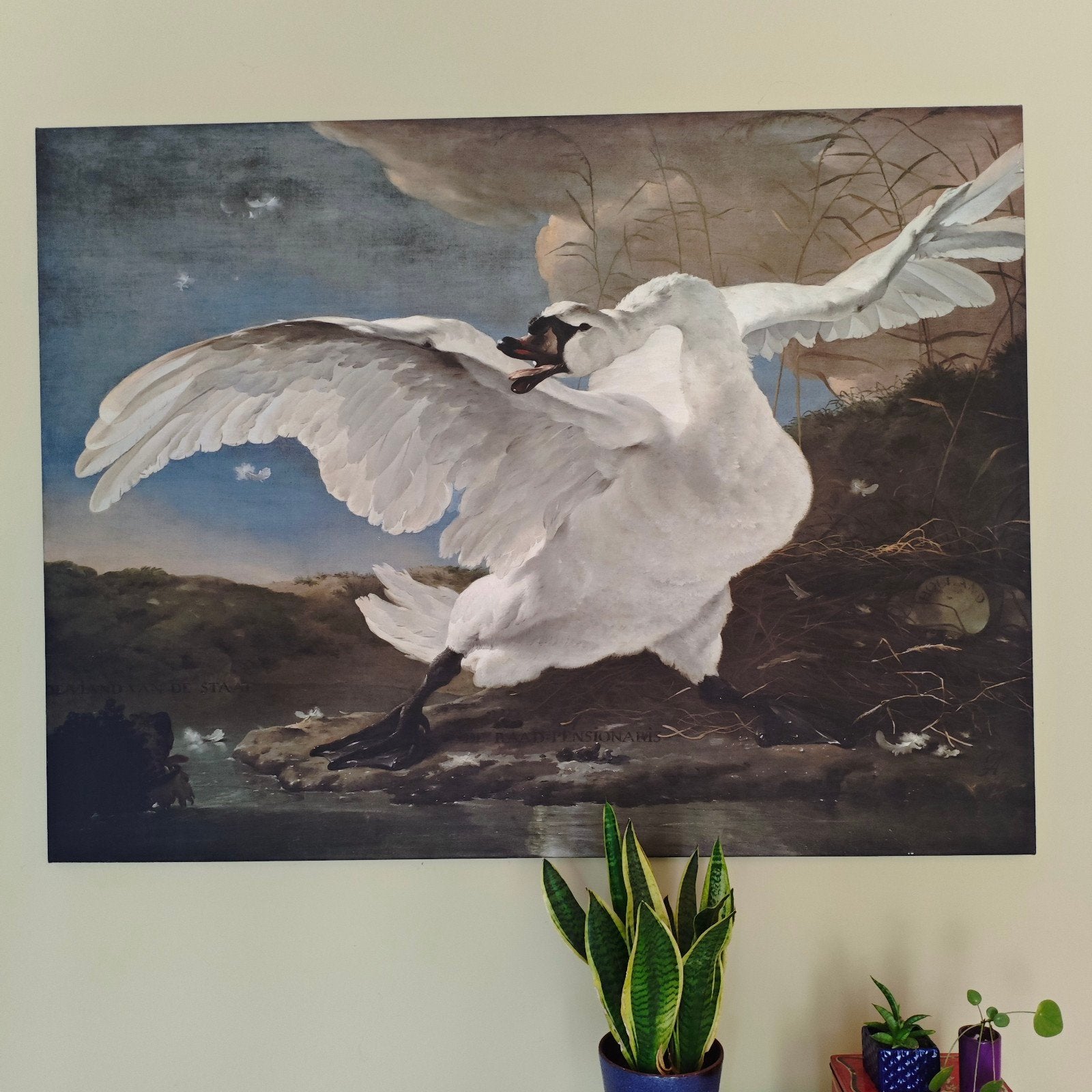 De Bedreigde Zwaan - Canvas Print XXL (160x120cm), Ophalen, Doek, Realistisch, Dieren