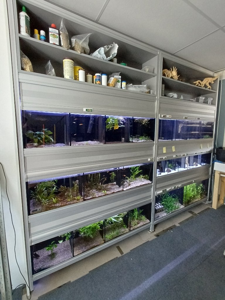 Aquarium stelling, Ophalen, Zo goed als nieuw, Leeg aquarium