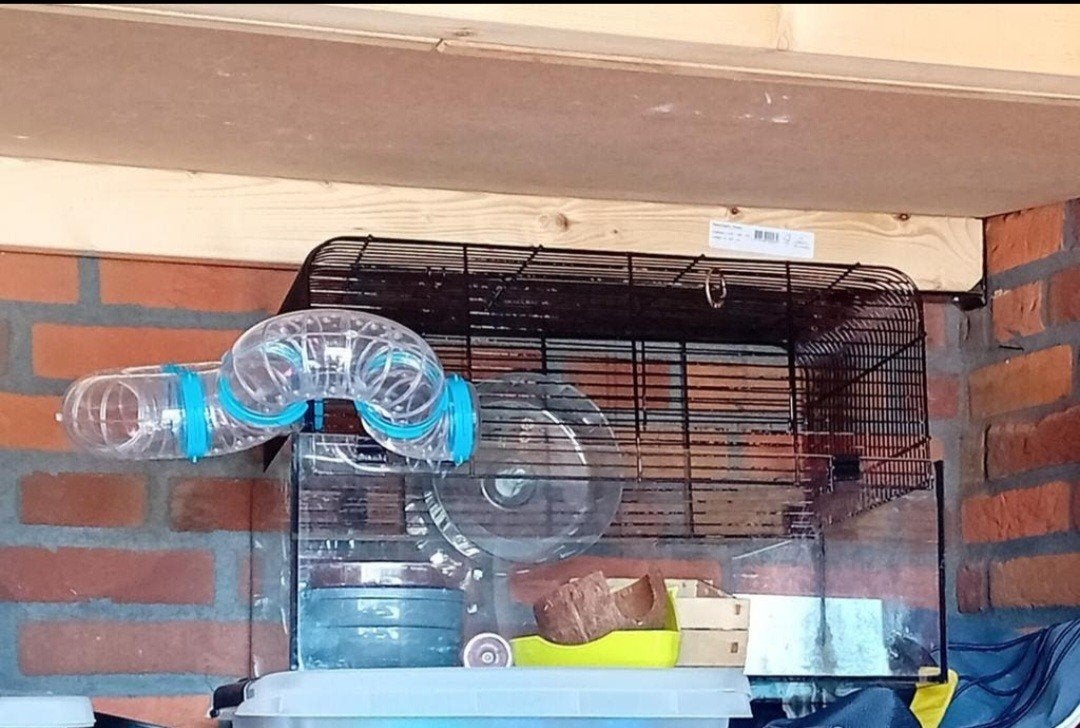 hamsterkooi en toebehoren, Ophalen