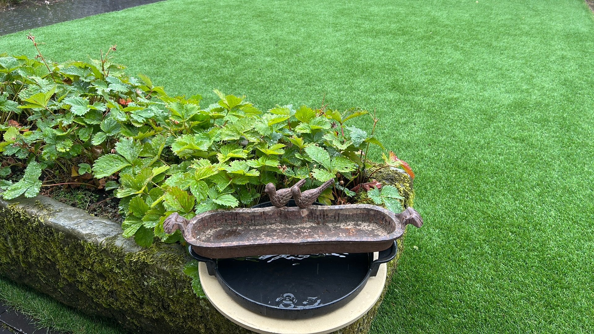 Gietijzeren waterbad waterbak voor vogels, Tuin en Terras, Ophalen of Verzenden, Gebruikt