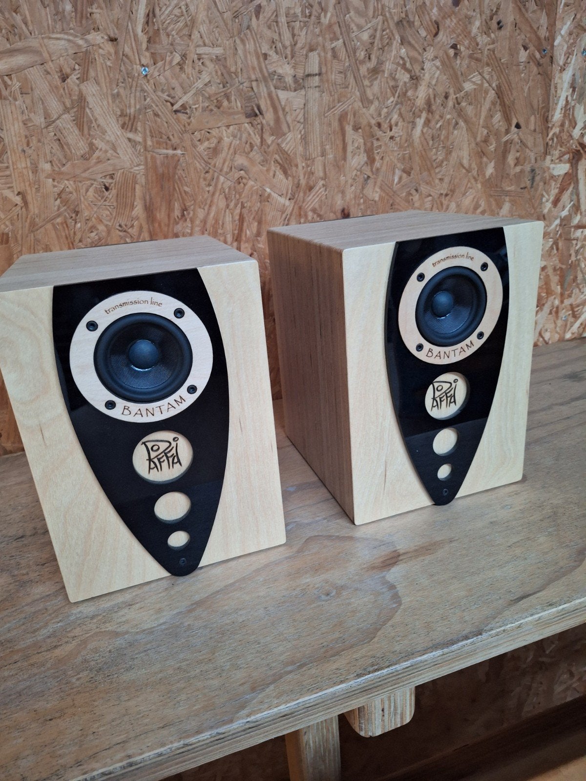 Raffai-Audio BANTAM Transmission Line Boekenplank Speakers, Ophalen