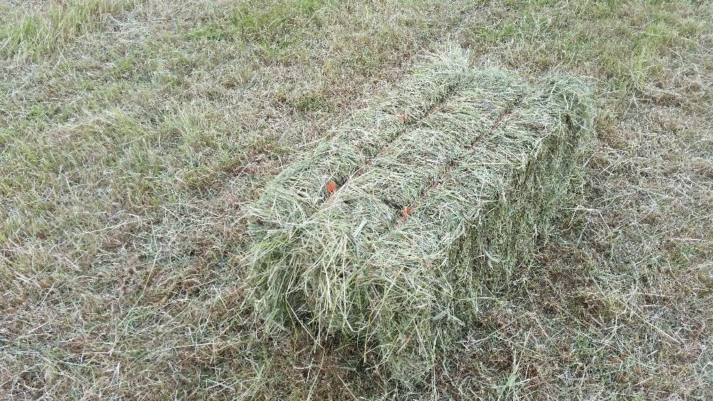 ongeveer 400 mooie kleine pakjes hooi, Dieren en Toebehoren, Ophalen, Vee