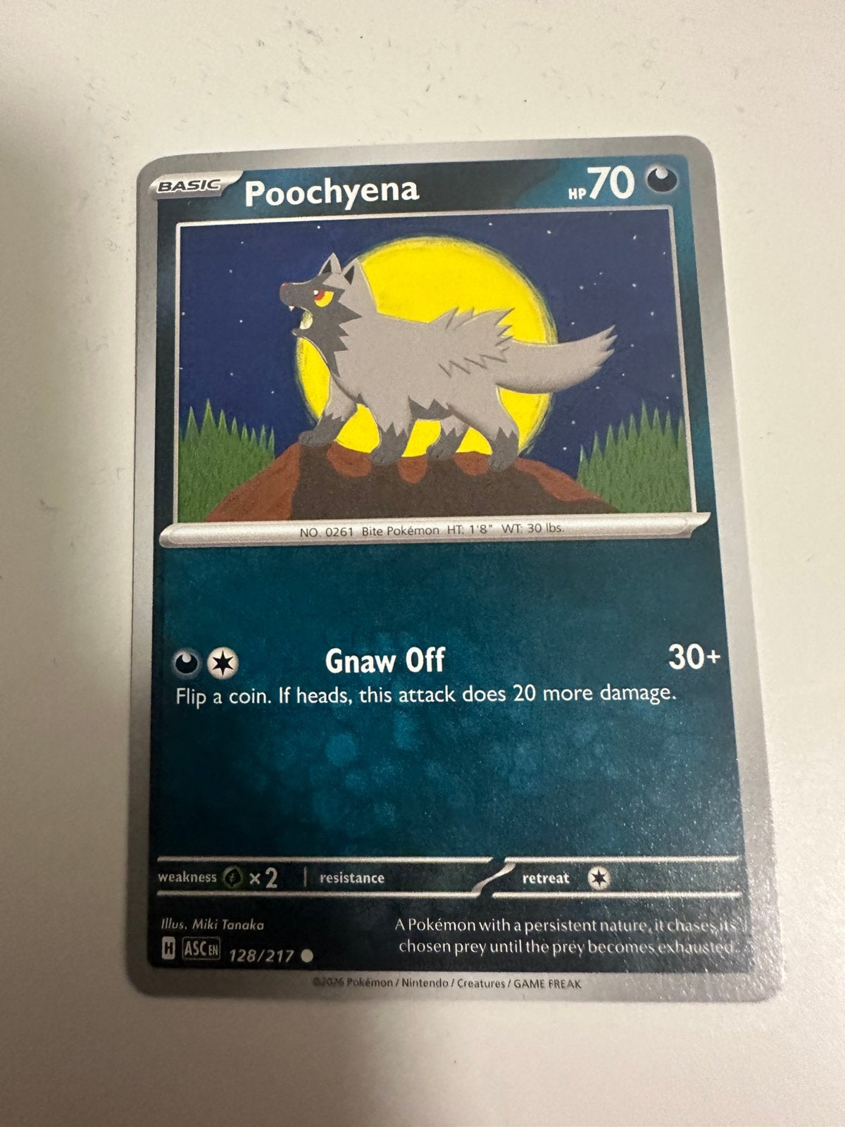 Poochyena temporal forces, Ophalen of Verzenden, Nieuw