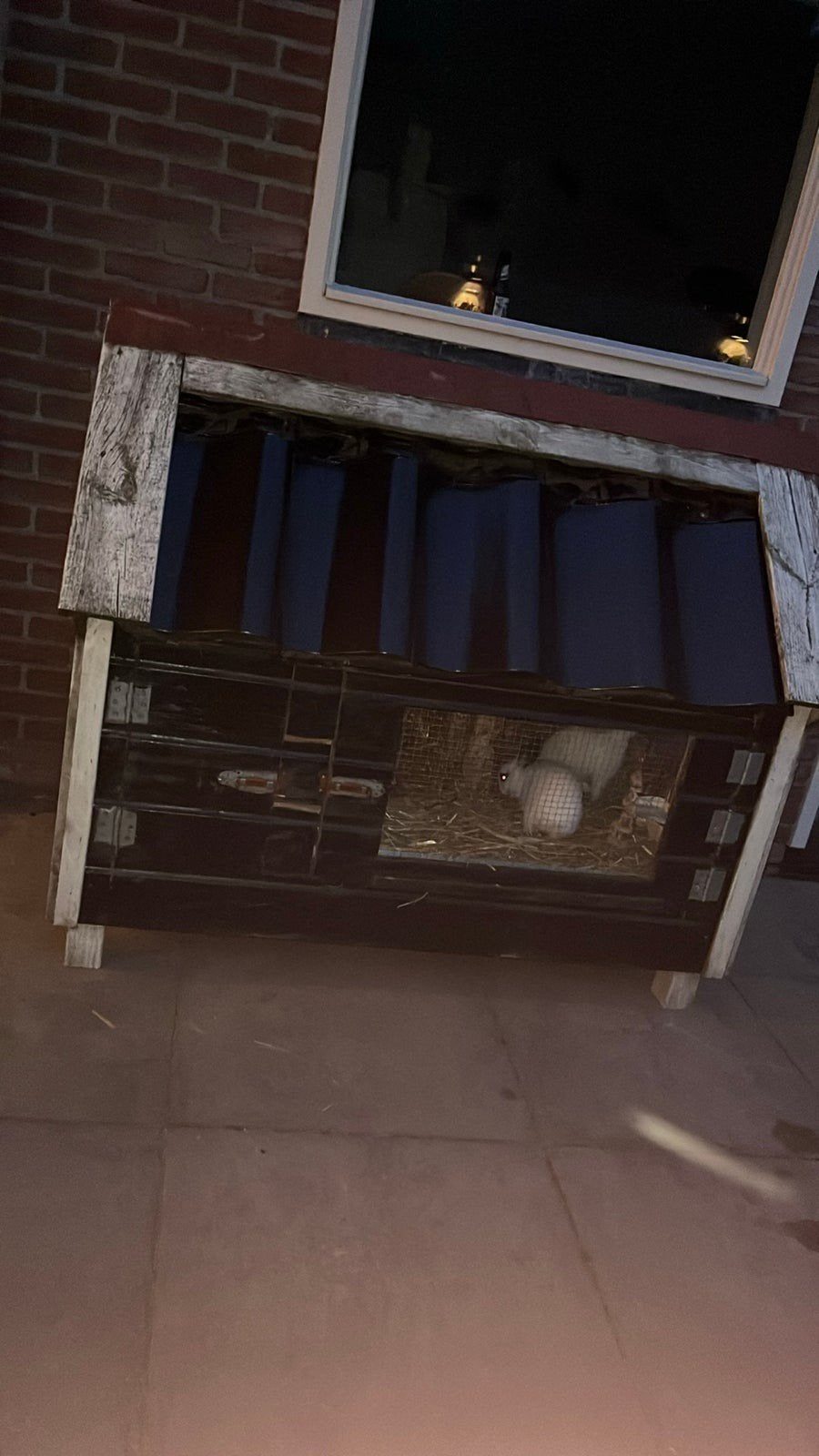 Konijnenhok te koop!, Ophalen, Gebruikt, Overige typen