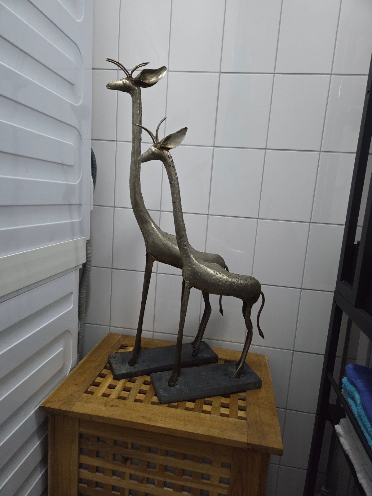 giraffen, Ophalen, Gebruikt, Dier