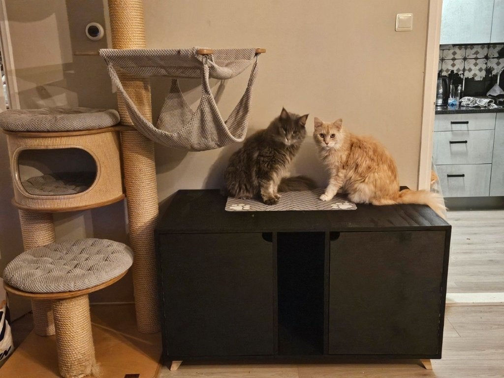Maatwerk kattenmeubels! Mooiste van NL! Wij denken mee., 6065ch 7, Segers houtwerken, Bartsegers@gmail.com, Nieuw