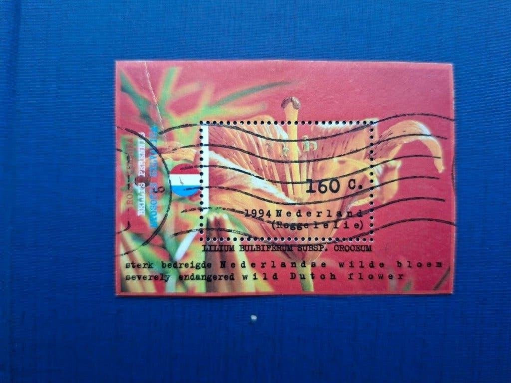 Postzegel NL 1994 Blok Roggelelie 15-08, Ophalen of Verzenden, Na 1940, Gestempeld
