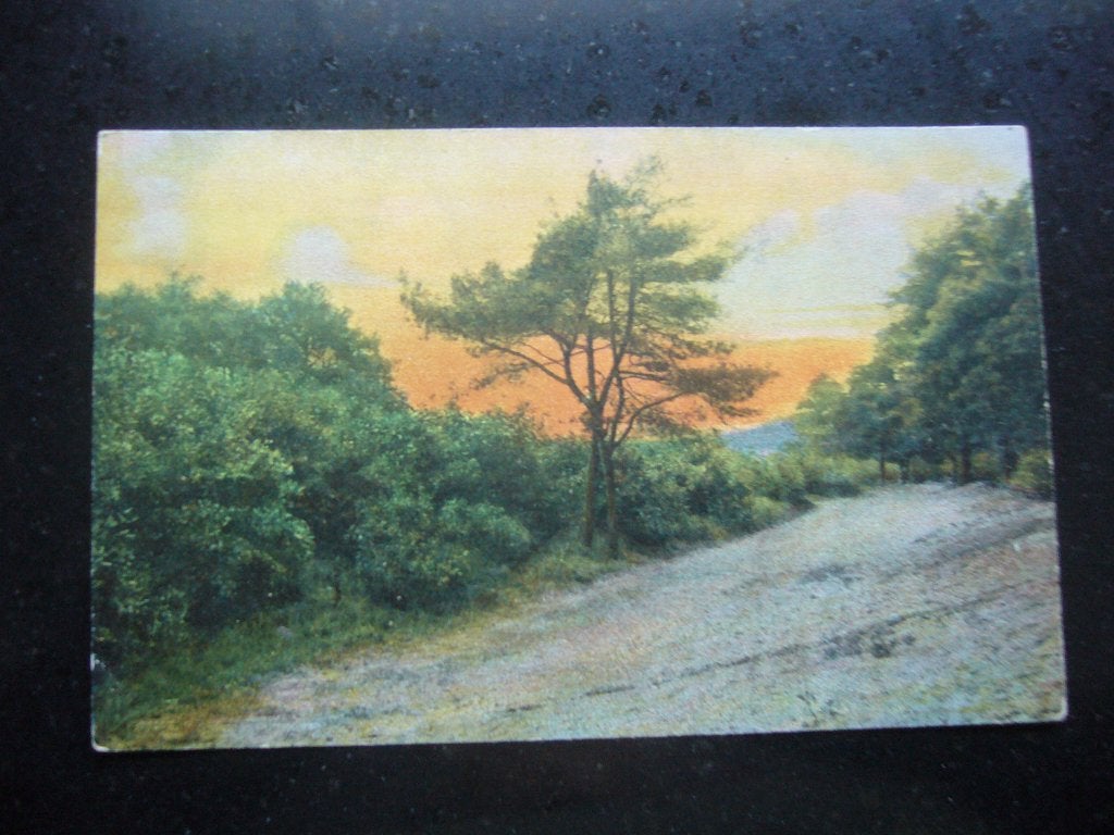 BAARN  =  T, OOSTERBOSCH   BRIEFKAART, Verzamelen, Ophalen of Verzenden, Voor 1920, Ongelopen, Utrecht