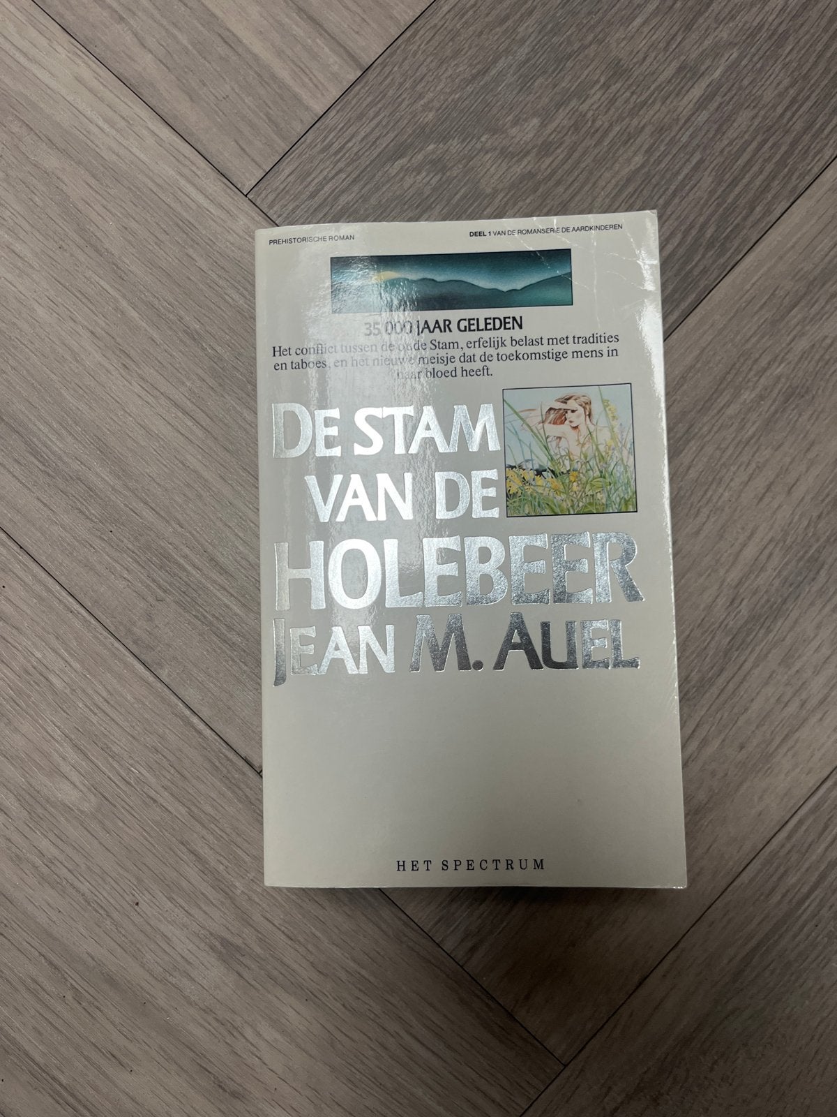De Stam van de Holebeer - Jean M. Auel (Prehistorische Roman, Ophalen of Verzenden, Gelezen, Nederland