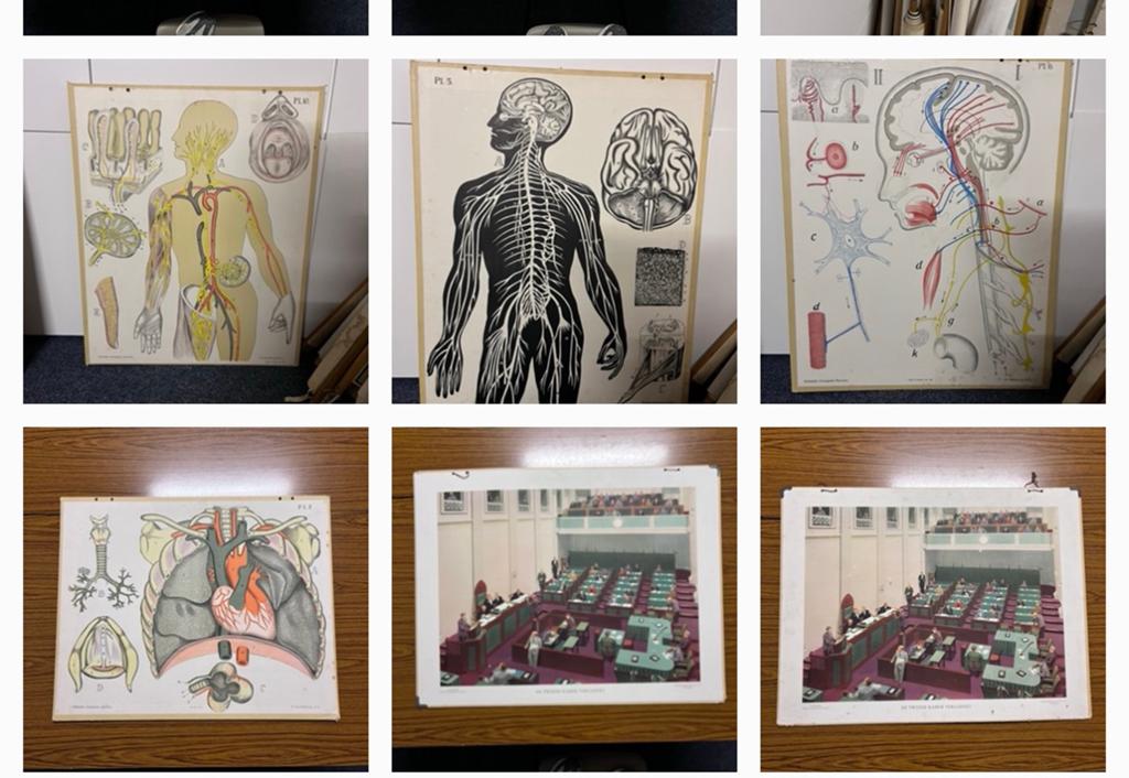 Partij schoolplaten: anatomie, aardrijkskunde, geschiedenis, Antiek en Kunst, Antiek | Schoolplaten, Ophalen, Overige thema's
