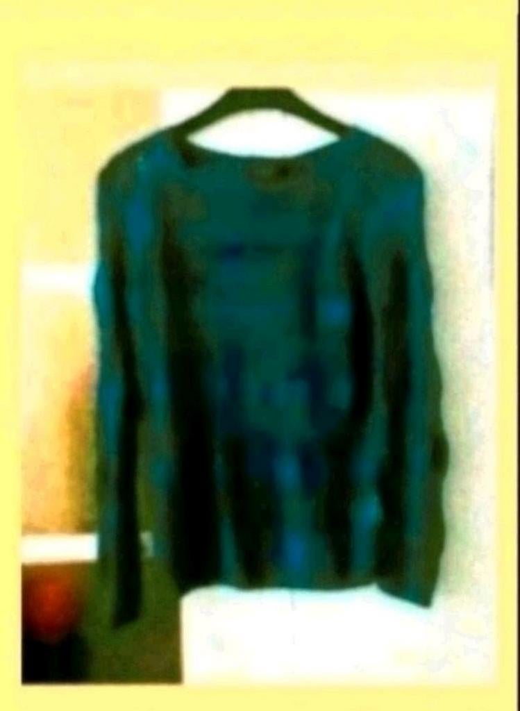Blauw trui, Kleding | Dames, Truien en Vesten, Ophalen of Verzenden, Zo goed als nieuw, Maat 36 (S), Blauw