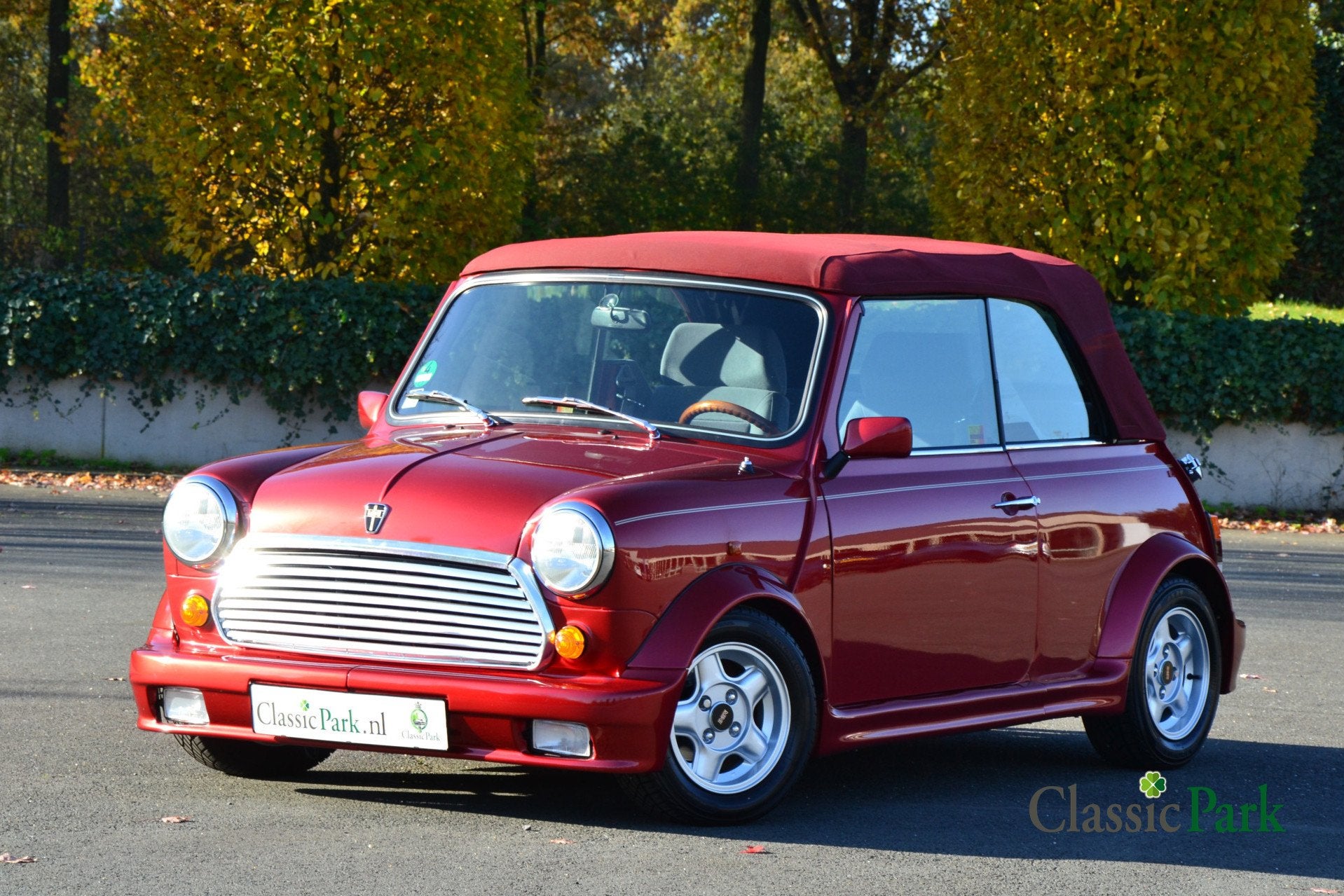 MINI cabriolet (Rover) (bj 1995), foto 5