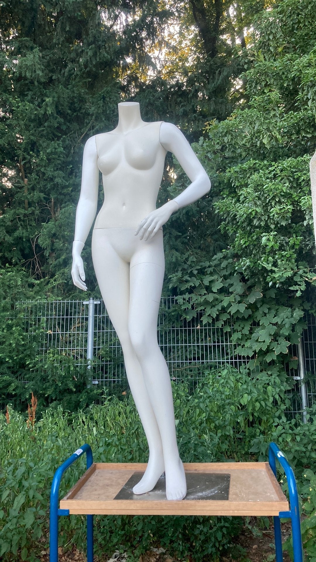 Paspop zonder hoofd, Kleding | Dames, Kledingrekken, Ophalen