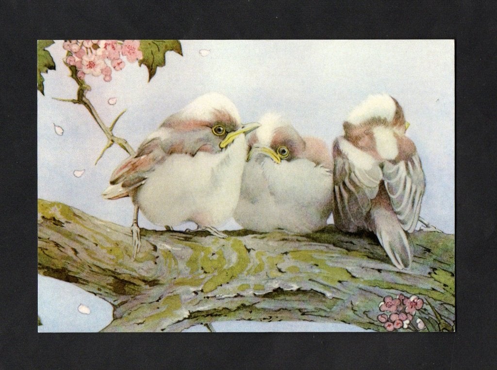 Staartmees Aegithalos Caudatus Jonge Mezen Op Tak, Ophalen of Verzenden, 1980 tot heden, Ongelopen, Vogel
