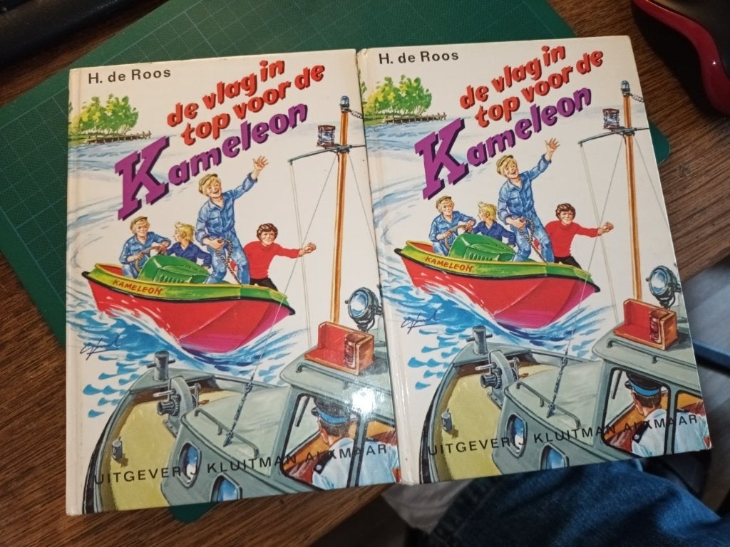 H.de Roos - Kameleon, Boeken, Ophalen of Verzenden, Gelezen, H.de Roos, Fictie